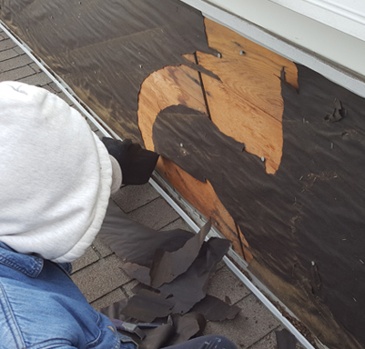 Handyman Service
